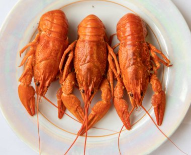 Beyaz arka planda kırmızı kaynamış kerevit..