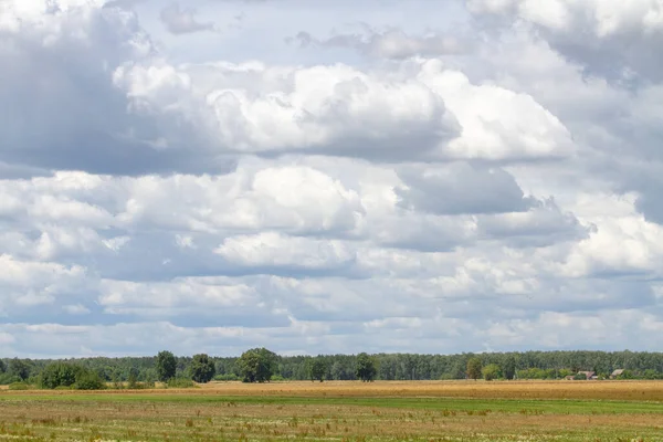Летом Европе Идут Сильные Дожди Поля Леса Беларусь — стоковое фото