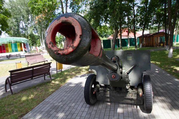 Rogatschow Weißrussland Juni 2019 Militärkanonen Der Udssr Des Zweiten Weltkriegs — Stockfoto