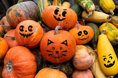 Sonbaharda gülen komik yüzlü şirin Cadılar Bayramı balkabakları.