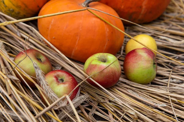 Schöne Kürbisse Mit Frischen Äpfeln Und Hellem Stroh — Stockfoto