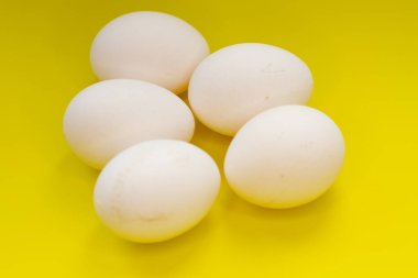 Sarı arka planda tavuk yumurtası