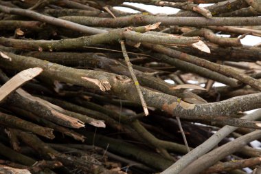 Tahta kalaslar dallar. Bir sürü tahta malzeme.