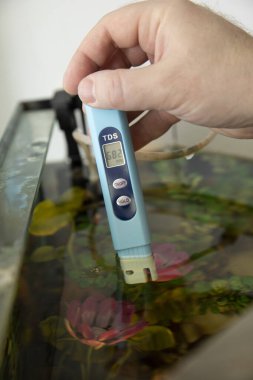 Suyun TDS ölçümü. Akvaryumdaki elektronik pH ölçer.