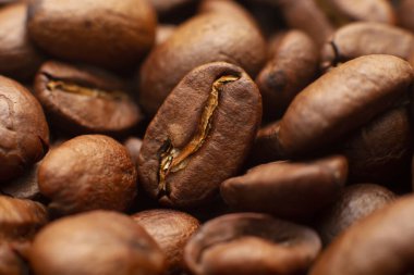 Kahve çekirdeklerine yakın çekim. Bir sürü kızarmış kahve çekirdeği.