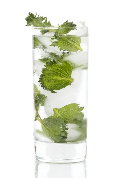 Mojito Cocktail Mit Frischer Minze Isoliert Auf Weißem Hintergrund Kaltes — Stockfoto
