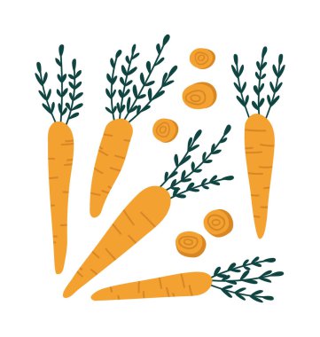 Sarı havuçların vektör çizimi. Beyaz arka planda izole edilmiş havuç seti. Sebze tasviri. Vejetaryen konsepti. Sağlıklı beslenme, yemek tarifleri, yerel çiftlikler için uygun..