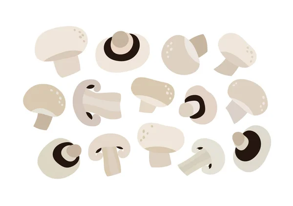 Vector Illustration Mushrooms Half Mushrooms Set Champignon Isolated White Background — Stock Vector