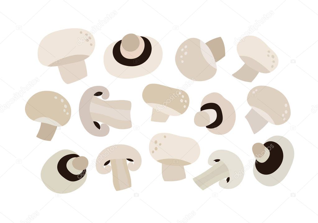 Vector illustration of mushrooms and half of mushrooms. Set of champignon isolated on white background. Illustration of vegetables. Suitable for illustrating healthy eating, recipes, local farm.