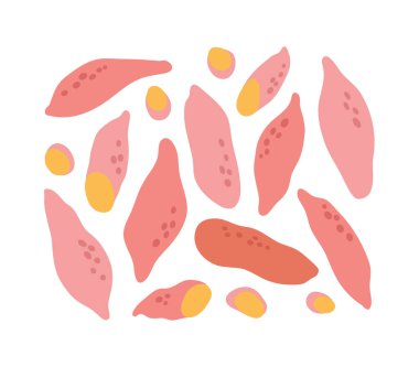 Tatlı patatesin vektör çizimi ve tatlı patatesin yarısı. Beyaz arkaplanda izole edilmiş yarasalar. Elle çizilmiş. Sebze tasviri. Sağlıklı beslenme ve çiftlik için uygun..