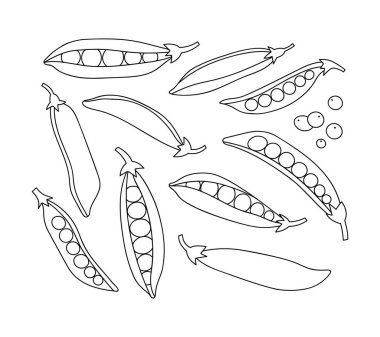 Bezelye ve bezelyelerin yarısını temsil ediyor. Beyaz arka planda izole edilmiş bezelye dizisi. Çizgi çalışması. Sebze tasviri. Sağlıklı beslenme için uygun, yerel çiftlik..