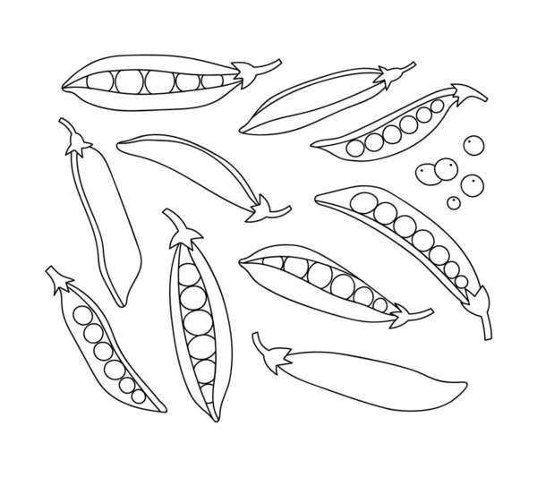 Ilustração Vetorial Ervilhas Metade Das Ervilhas Conjunto Ervilhas Isoladas Sobre — Vetor de Stock