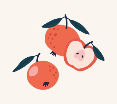 Elmanın vektör çizimi ve elmanın yarısı bej arka planda. Parlak renklerde elle çizilmiş meyveler. Sağlıklı beslenme, yemek tarifleri, yerel çiftlikler için uygun. Elmalı kart.