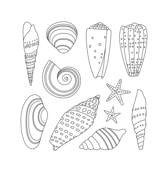 Handgezeichnete Sammlung Von Muscheln Und Seesternen Unterwassermuscheln Aus Weichtieren Und — Stockvektor