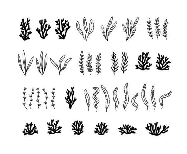 手工绘制的海草和珊瑚 海洋动植物群概念 海洋和水下生物 在白色上孤立的黑白矢量图解 — 图库矢量图片