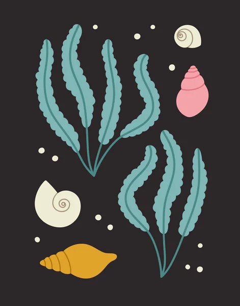 Karta Ręcznie Rysowane Wodorosty Morskie Muszle Bąbelki Koncepcja Flory Fauny — Wektor stockowy