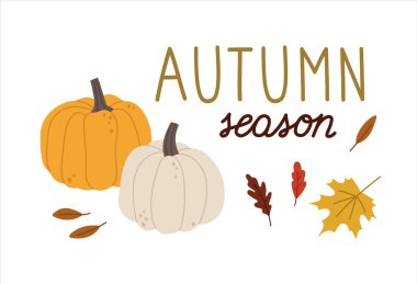 Balkabaklarıyla, yapraklarıyla ve el yazmalarıyla elle çizilmiş sonbahar kartı. Sonbahar, sonbahar, doğa, orman bitkileri, ağaç yaprakları, hasat zamanı. Renkli vektör çizimi, beyaz üzerine izole edilmiş.