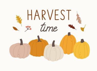 Balkabaklarıyla, yapraklarıyla ve 