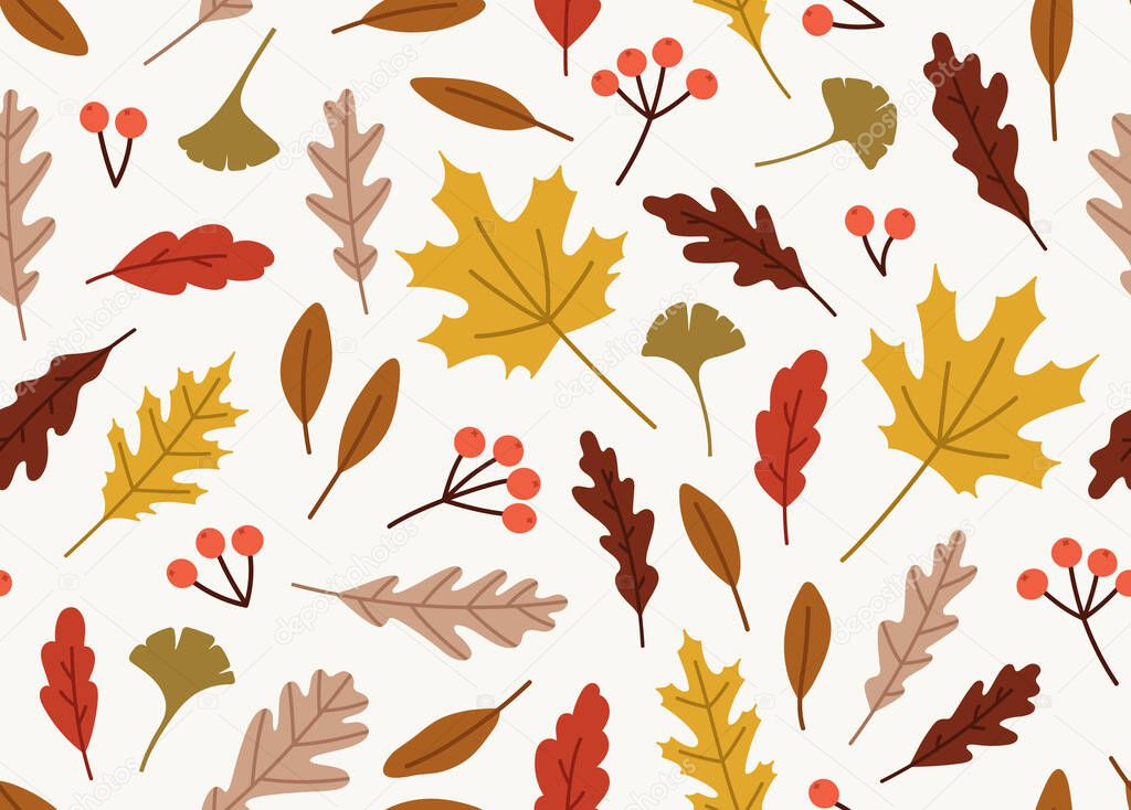Seamless pattern of autumn leaves. Ginko leaves, red oak, white oak, maple, elm, berries. Concept of fall, autumn, nature, forest plants, tree foliage. Colored vector illustration, isolated on beige.