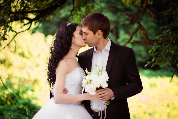 Wedding. Just Married. The bride and groom. — Stock Photo, Image