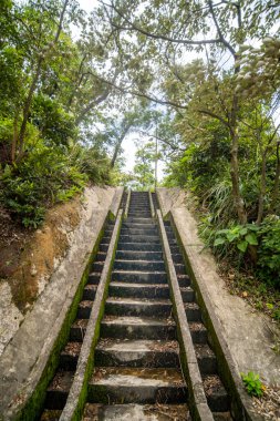 Parktaki taş geçitler.