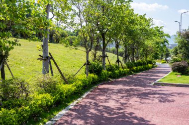 Modern şehirde halk yaya geçidi