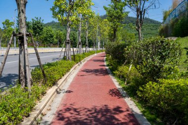 Modern şehirde halk yaya geçidi