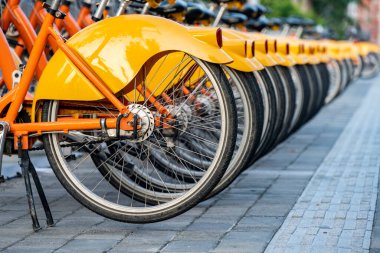 Modern şehirlerde akıllı ortak bisikletler. Modern şehirlerde akıllı devlet bisikleti..