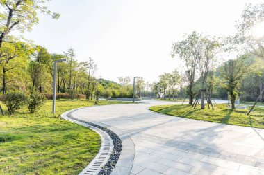 Modern bir şehirde Green Park. Egzersiz ve rahatlama.