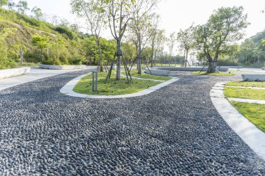 Modern bir şehirde Green Park. Egzersiz ve rahatlama.