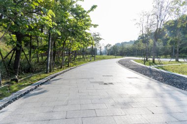 Modern bir şehirde Green Park. Egzersiz ve rahatlama.
