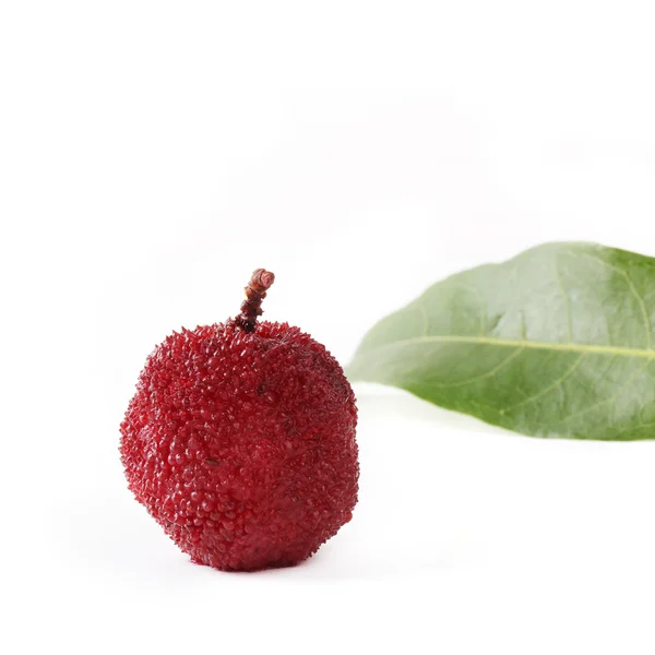 Waxberry or red bayberry — Stock Photo, Image