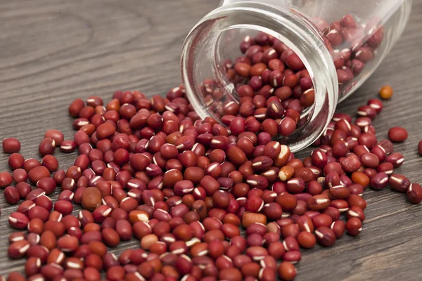 Adzuki bean, typical red beans of East Asian cuisine — Stock Photo, Image