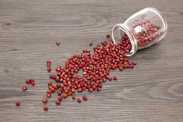 Adzuki bean, typical red beans of East Asian cuisine — Stock Photo, Image