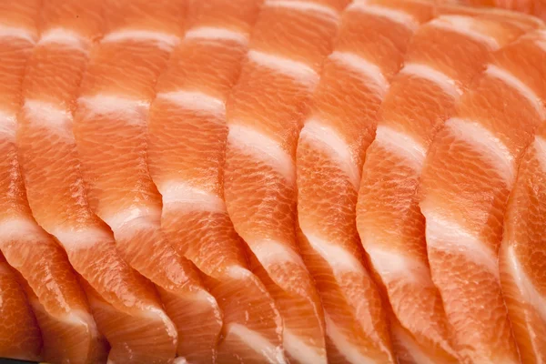 Close up of salmon — Stock Photo, Image