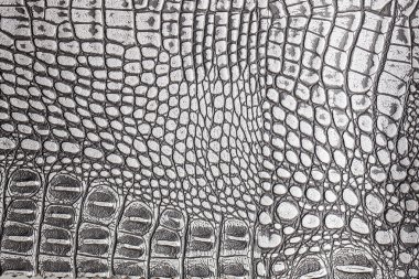 Deri doku arkaplan yüzeyi