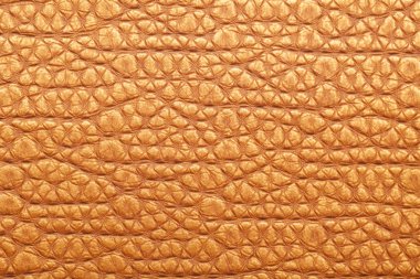 Deri doku arkaplan yüzeyi