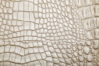 Deri doku arkaplan yüzeyi