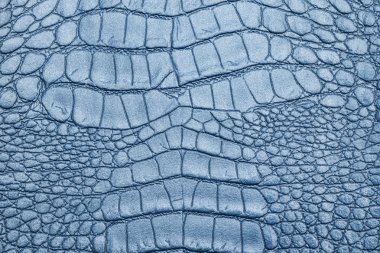 Deri doku arkaplan yüzeyi