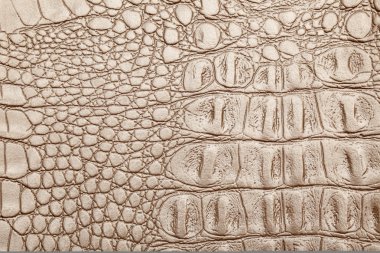 Deri doku arkaplan yüzeyi