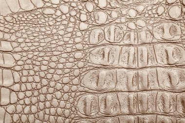 Deri doku arkaplan yüzeyi