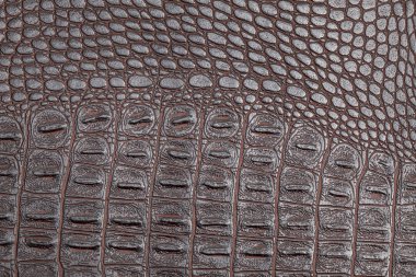 Deri doku arkaplan yüzeyi