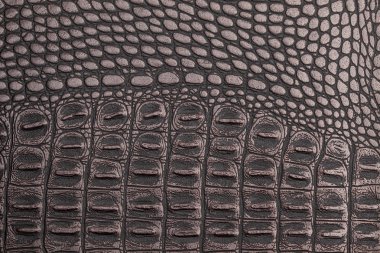 Deri doku arkaplan yüzeyi