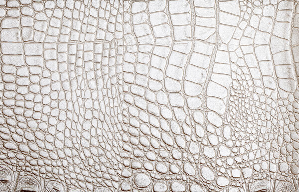 Leather texture background surface