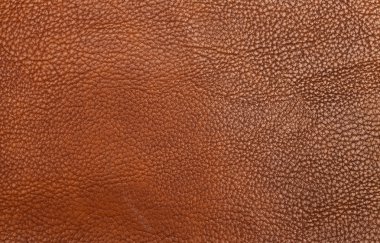 Deri doku arkaplan yüzeyi