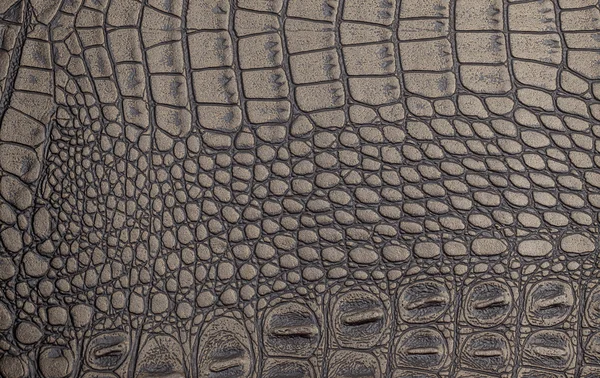 Deri doku arkaplan yüzeyi