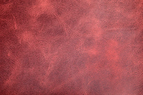 Leather texture background surface — Stock Photo, Image