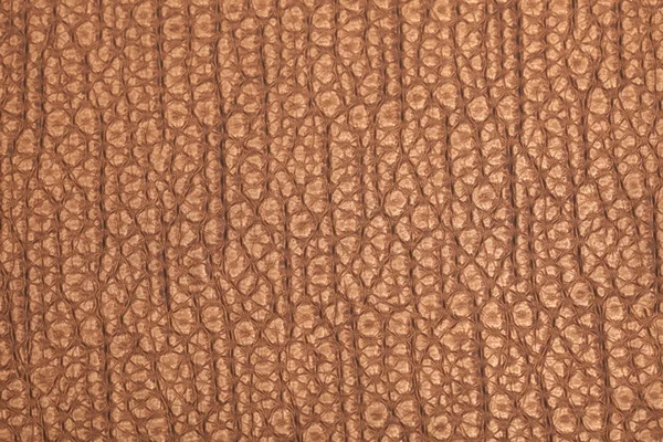 Leather texture background surface — Stock Photo, Image