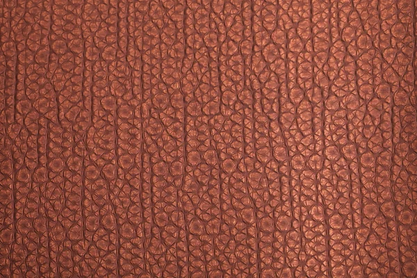 Leather texture background surface — Stock Photo, Image