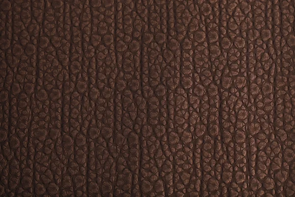 Leather texture background surface — Stock Photo, Image